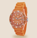 The Classic ChillWatch